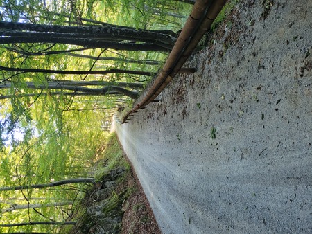 Zaščitna ograja Slivnica 1, Uroš Skuk